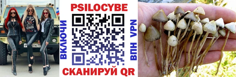 Галлюциногенные грибы Cubensis  Купить  Чехов 